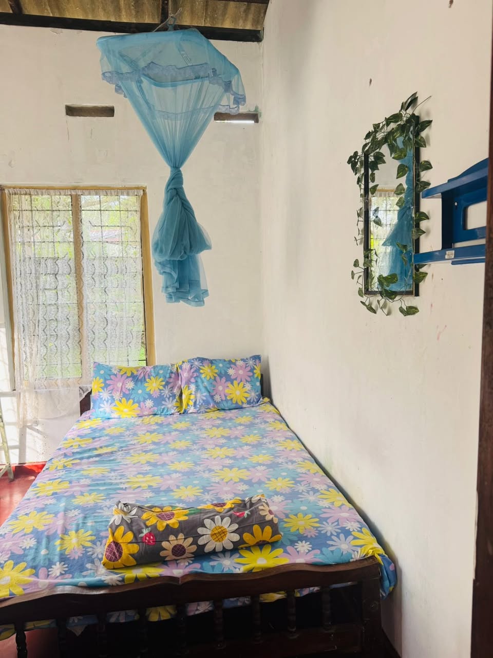 Single room for rent -for a lady  -  in , 