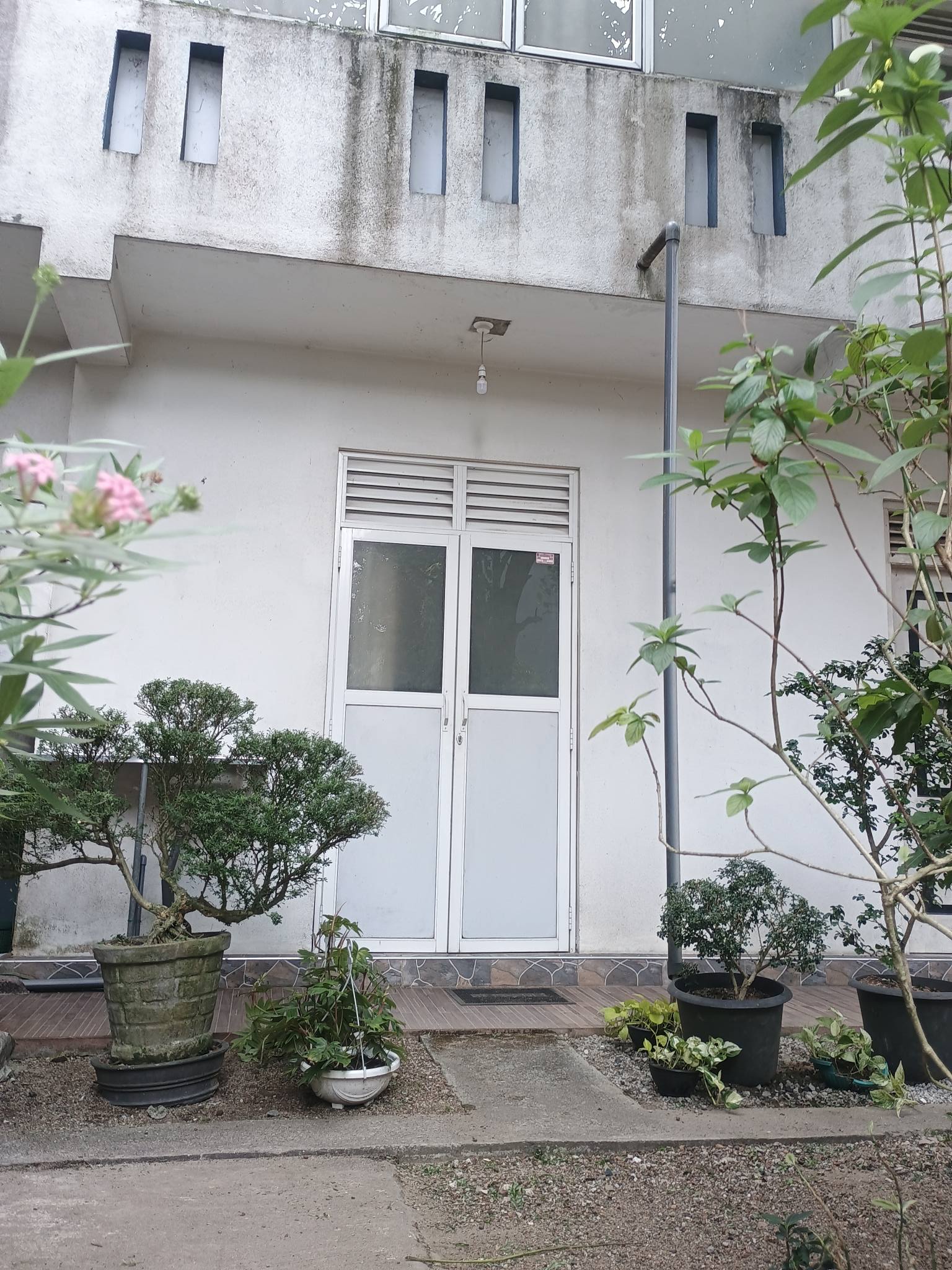 annex for rent pannipitiya - Girls -  in , 