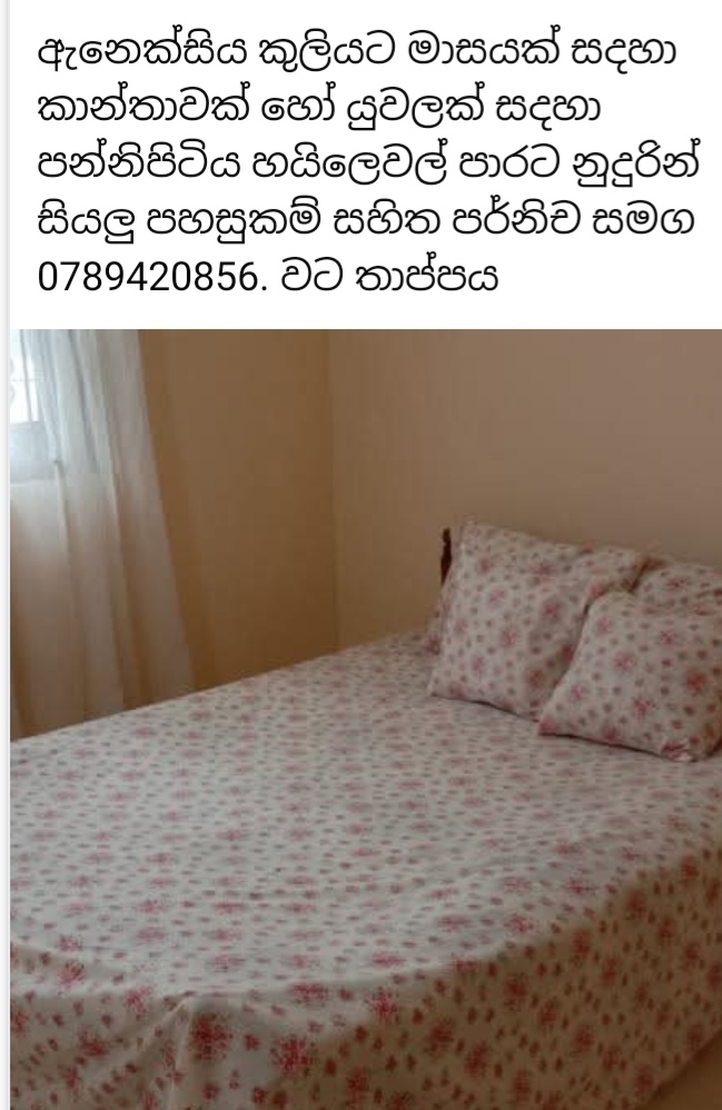Annex to rent near Highlevel road -  in , 