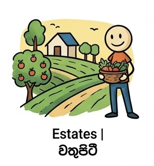 Estates